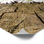 デイジーハート ポスター (角)