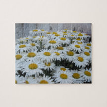 デイジーパズル