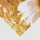 デイジーフィールドティッシュペーパー 薄葉紙 (詳細)