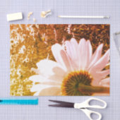 デイジーフィールドティッシュペーパー 薄葉紙 (クラフト)