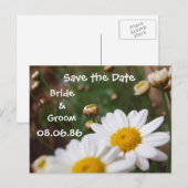デイジーフィールド日付の保存 案内ポストカード (正面/裏面)