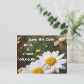 デイジーフィールド日付の保存 案内ポストカード (スタンド正面)