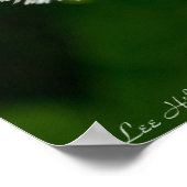 デイジーフラバンワイルドフラワーブーケポスター ポスター (角)