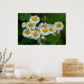 デイジーフラバンワイルドフラワーブーケポスター ポスター (キッチン)