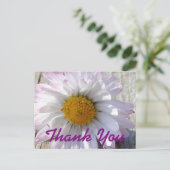 デイジーフラワーサンキュー ポストカード (スタンド正面)