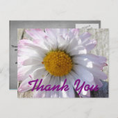 デイジーフラワーサンキュー ポストカード (正面/裏面)