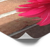 デイジーフラワーズ美しい ポスター (角)