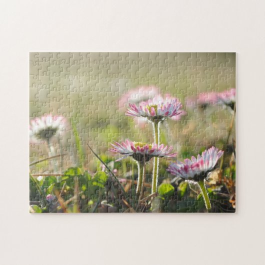 デイジーフラワーフィールド春牧草地美 ジグソーパズル (横)