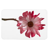 デイジーフラワーフォトマグネット マグネット (横)