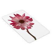 デイジーフラワーフォトマグネット マグネット (右側)