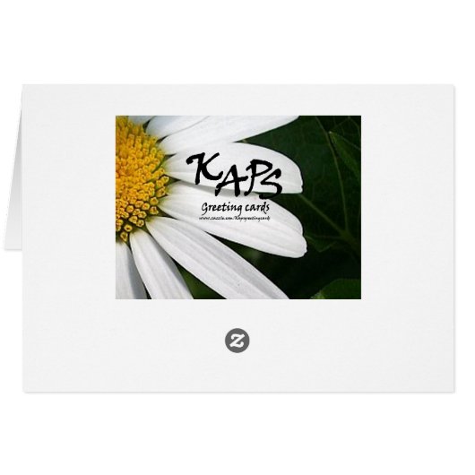 デイジーフラワーPhOtgraphy (裏面横)