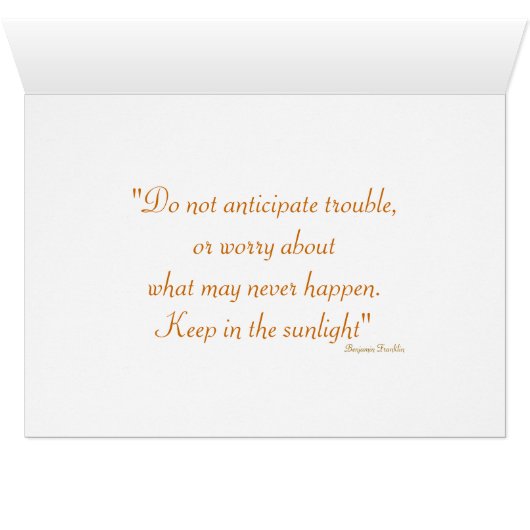 デイジーフラワーPhOtgraphy (内部横(下))