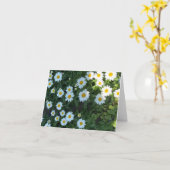 デイジーブッシュ写真 カード (黄色い花)