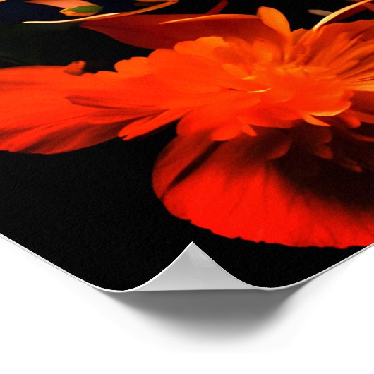 デイジーブーケ絵を描オングーアシュのアートポスター ポスター (角)