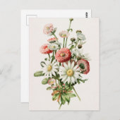 デイジーブーケ葉書 ポストカード (正面/裏面)