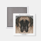 デイジープロモーション マグネット (正面/裏面)