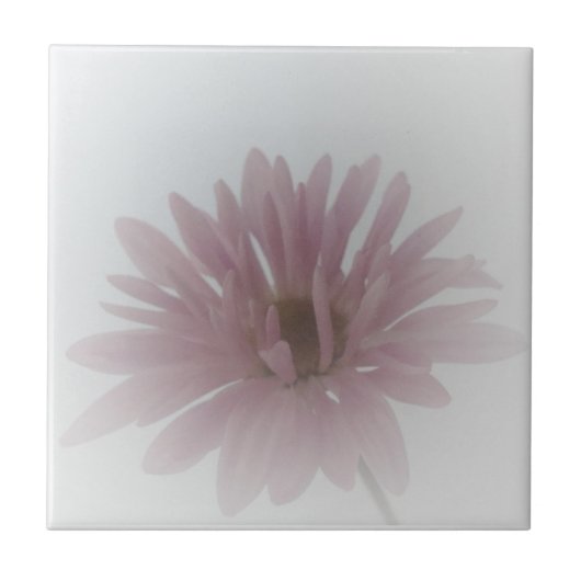 デイジーヘイズタイル タイル (正面)