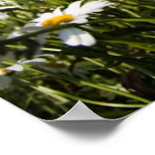 デイジーポスター/キャンバス印刷 ポスター (角)