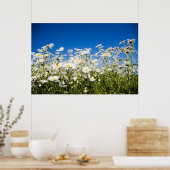 デイジーポスター/キャンバス印刷 ポスター (キッチン)