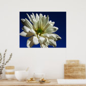 デイジーポスター ポスター (キッチン)