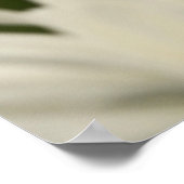 デイジーポスター ポスター (角)