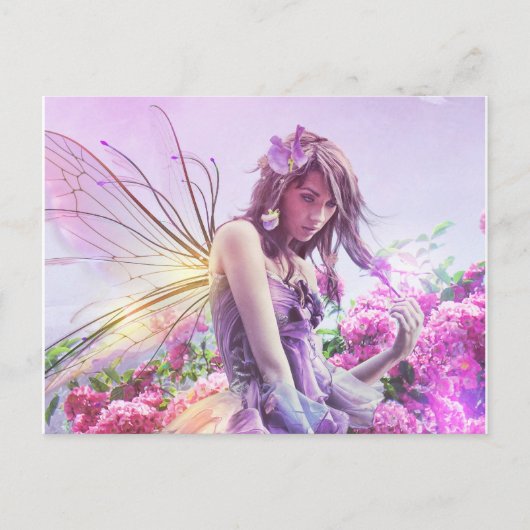 デイジーポストカード ポストカード (正面)