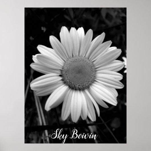 デイジーポップ・アートの ポスター (正面)