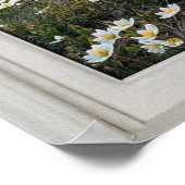 デイジーマウンテンホワイトフレームウィンドウ錯覚 ポスター (角)