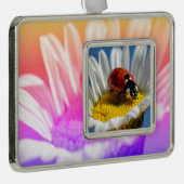 デイジーマグの女性のバグのマウスパッドのポスターChristmas O シルバープレートフレームオーナメント (右)