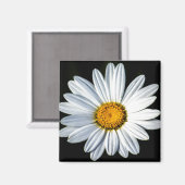 デイジーメーマグネット マグネット (正面/裏面)