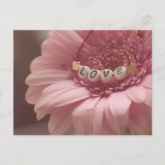 デイジーラブ ポストカード (正面)