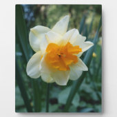 デイジーリリーの花 フォトプラーク (正面)