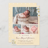 デイジーワイルドフラワー生まれたばかりの歓迎ベビーガール誕生 案内状 (正面/裏面)