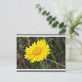 デイジー付きビーハガキ ポストカード (スタンド正面)