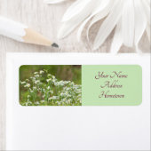 デイジー写真 ラベル (インサイチュ)