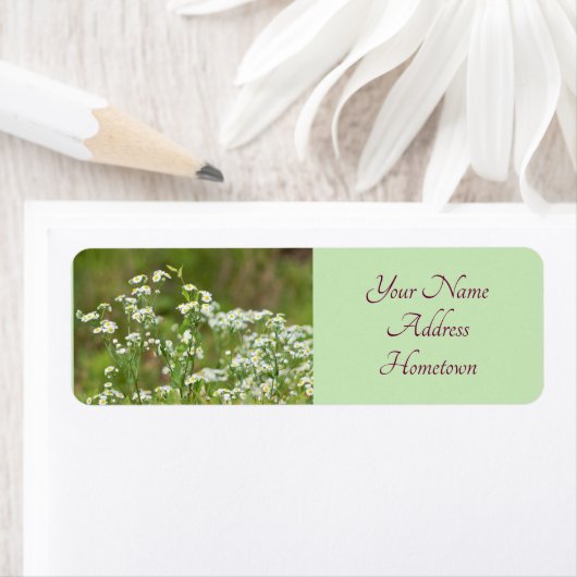 デイジー写真 ラベル (インサイチュ)