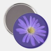 デイジー冷蔵庫用マグネットブルーフラワーデイジーギフト マグネット (正面/裏面)