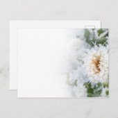 デイジー凍っていの冬の雪と氷 インビテーションポストカード (正面/裏面)