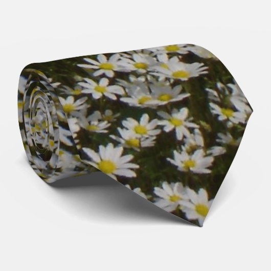 デイジー分野のタイ ネクタイ (ロール)