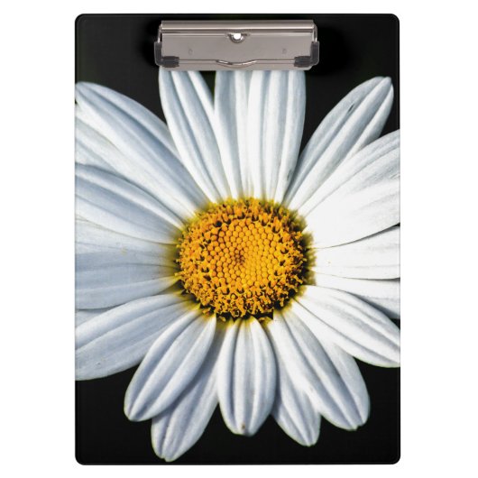 デイジー前 クリップボード (正面)
