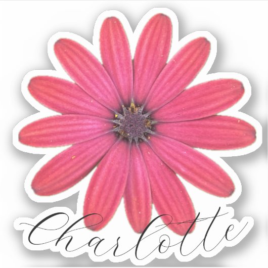 デイジー名シール シール (正面)