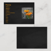 デイジー名刺 名刺 (正面/裏面)