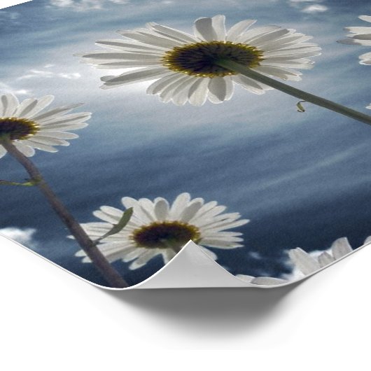 デイジー場 ポスター (角)