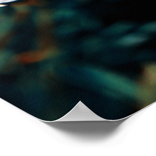 デイジー場 ポスター (角)