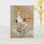 デイジー子猫 カード (黄色い花)