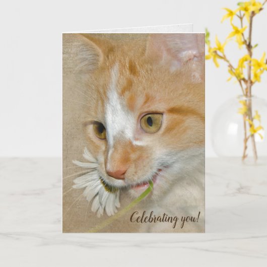 デイジー子猫 カード (黄色い花)