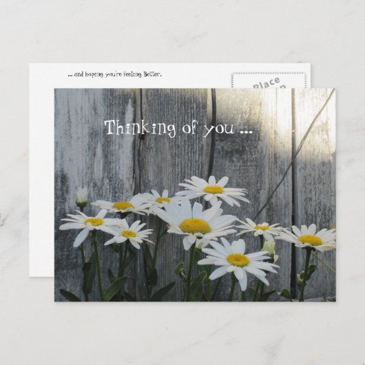 デイジー感じの方が良い。 ポストカード (正面/裏面)