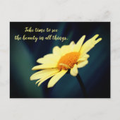 デイジー感動的の鑑賞美しい ポストカード (正面)