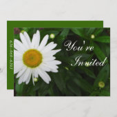 デイジー招待状 招待状 (正面/裏面)