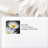 デイジー日ラベル ラベル (インサイチュ)